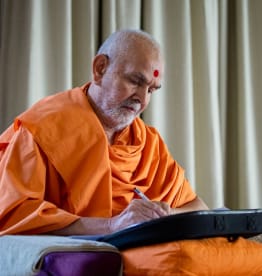 Mahant Swami Maharaj: Activities