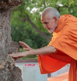 Mahant Swami Maharaj: Activities
