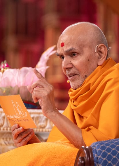 Mahant Swami Maharaj: Activities