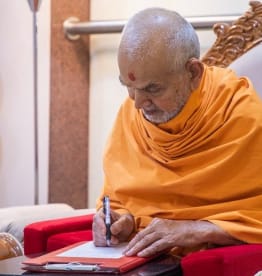 Mahant Swami Maharaj: Activities