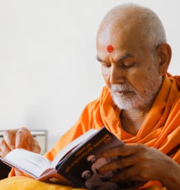 Mahant Swami Maharaj: Activities