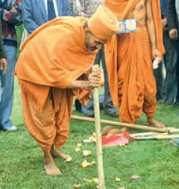 Mahant Swami Maharaj: Activities