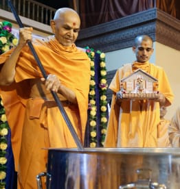 Mahant Swami Maharaj: Activities