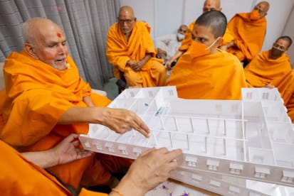 Mahant Swami Maharaj: Activities