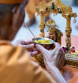 Mahant Swami Maharaj: Devotion to God