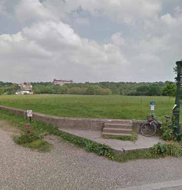 Petersham Meadows, photographed for the UK Prasadi Yatra Guidebook
