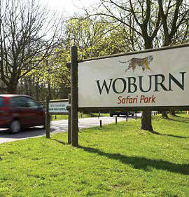 Woburn Safari Park, photographed for the UK Prasadi Yatra Guidebook
